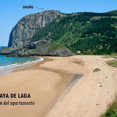 Urdaibai Apartament Ea